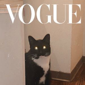 Meet your Posher, Hermon